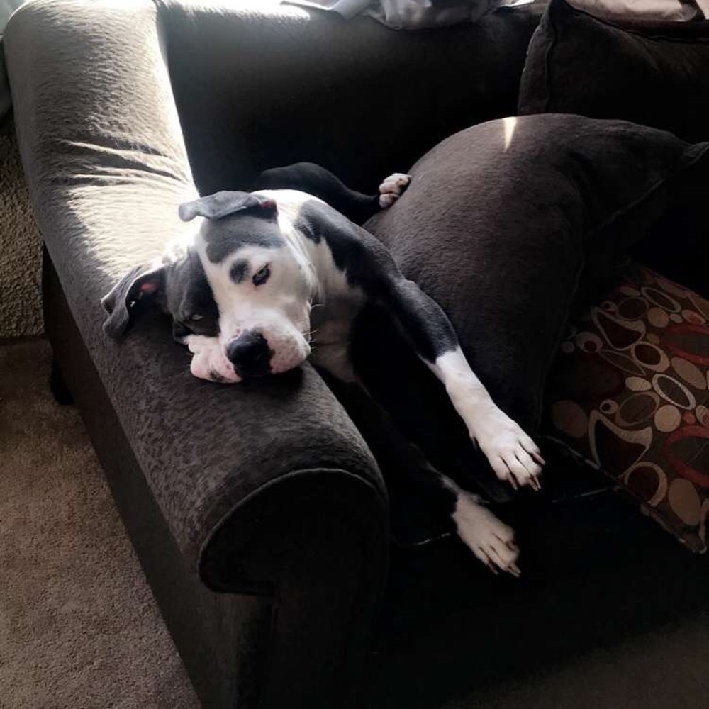 Meet your Posher, M!